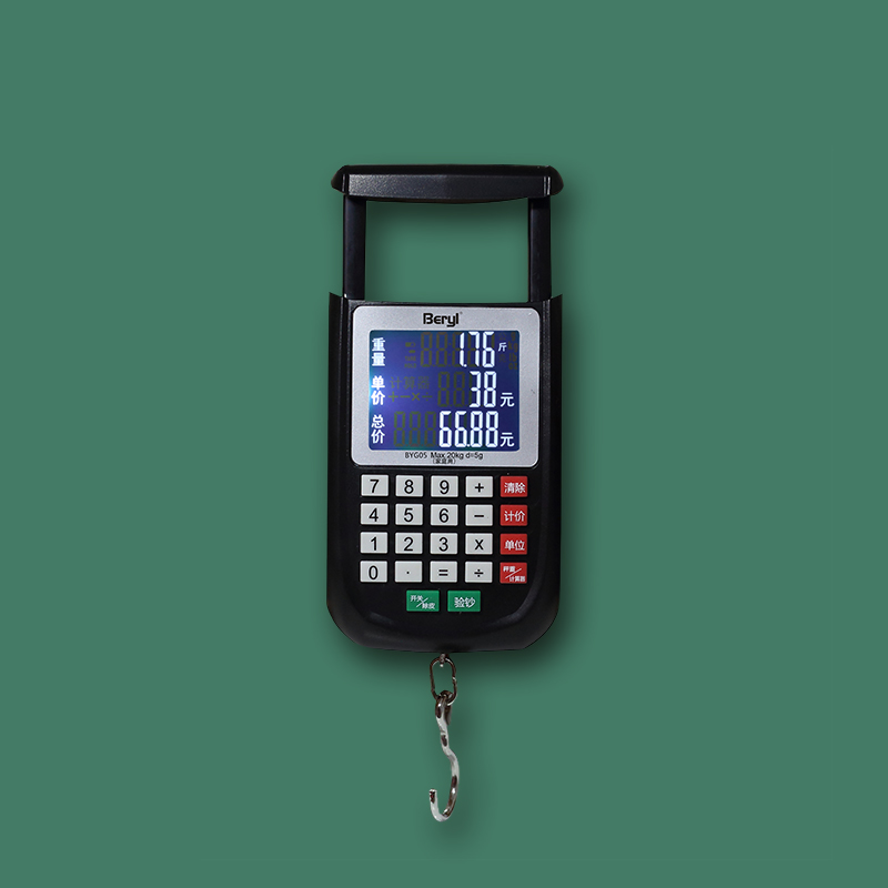 BYG05多功能計(jì)價(jià)手提秤